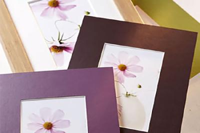 Standaard passe-partouts